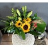 TOURNESOL 3