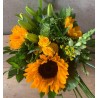 TOURNESOL 1