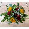 Tournesol 1
