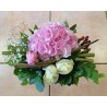HORTENSIA 2