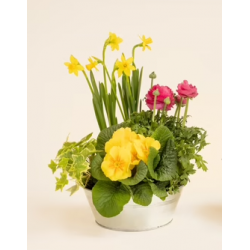 Le Petit Jardin Fleuri