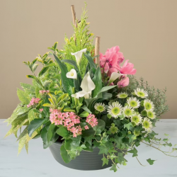 Le Grand Jardin Fleuri