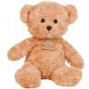HISTOIRE D'OURS BRUN FLORAJET